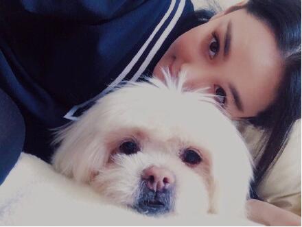 是家人啊!张馨予发文悼念爱犬 网友:他在旺星会快乐的