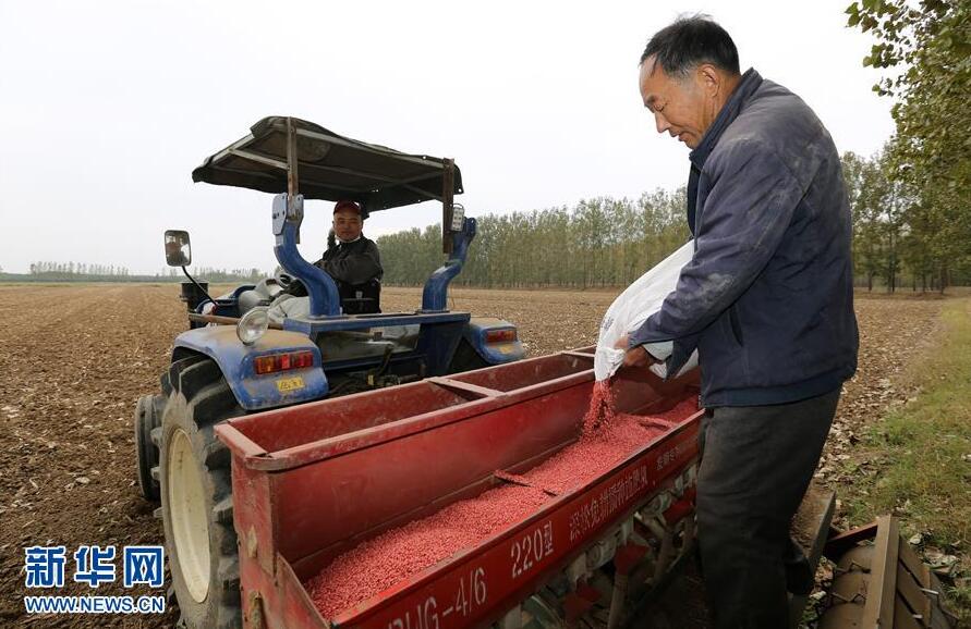 山东郯城:家庭农场秋播忙