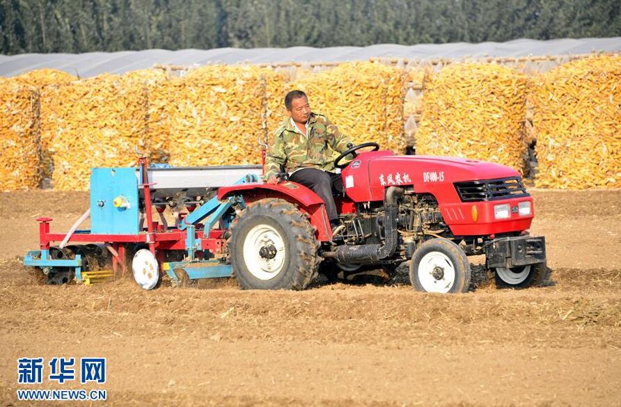 山东郯城:家庭农场秋播忙