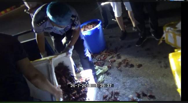 还有这种操作?湖州天价小龙虾 “买龙虾”竟然成了毒贩子的暗语