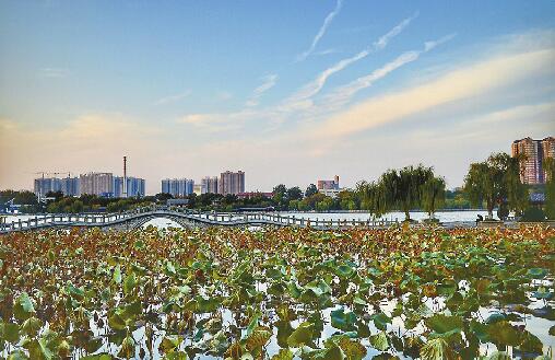 昨天市区最低气温仅7℃ 再嘚瑟两天本轮冷空气就撤了