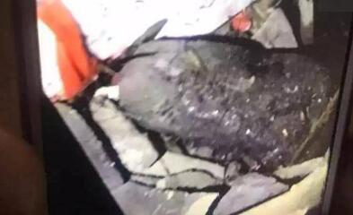 怎么肥四?天降不明物体 不明石头黑乎乎脏兮兮看上去像冰