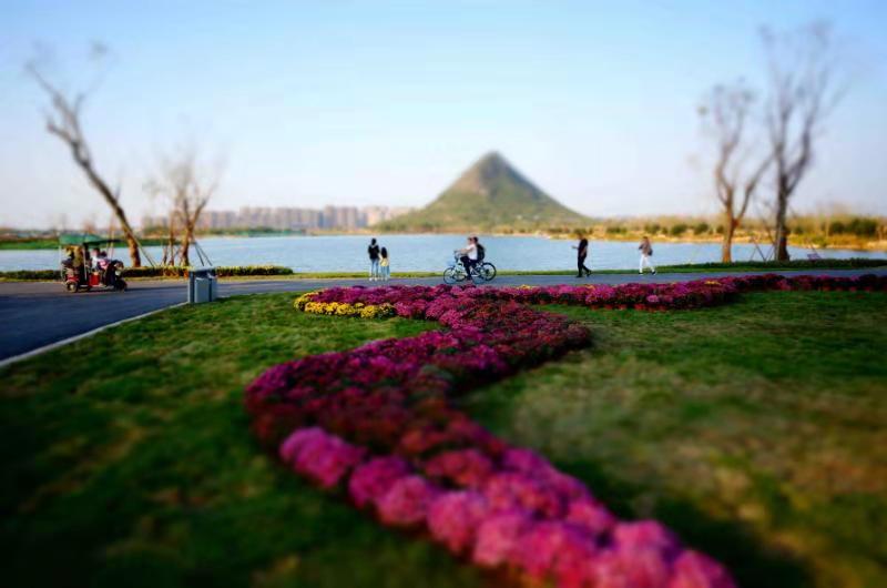 环华山湖半程马拉松周四开始领参赛物品 领取前别忘自行下载打印领物单