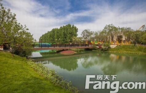 济南龙湖业主故事:其实心早就飞回家了