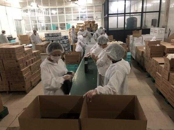 进口博览会期间牛奶棚食品加紧赶制5万份应急备餐盒