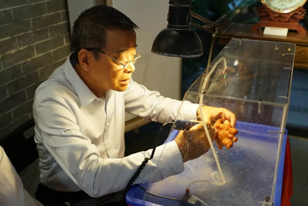 时政新闻眼丨习近平在广州:情牵中国 南大门 的