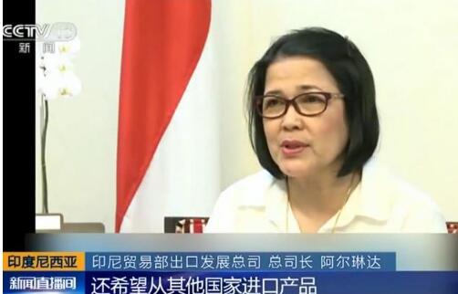 首届中国国际进口博览会为印尼扩大出口提供机遇
