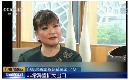 首届中国国际进口博览会为印尼扩大出口提供机遇