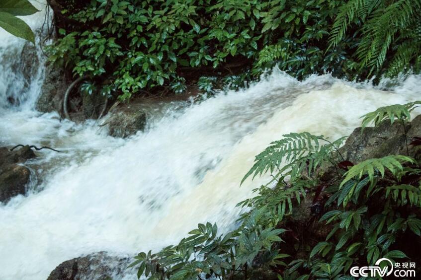【新时代·幸福美丽新边疆】德天跨国瀑布宛若仙境令人陶醉