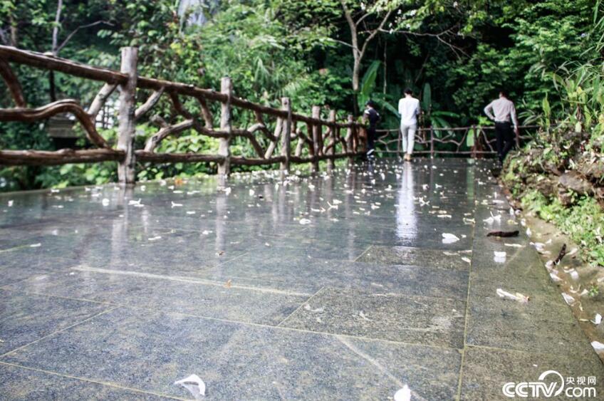 【新时代·幸福美丽新边疆】德天跨国瀑布宛若仙境令人陶醉