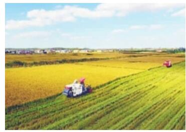 全面深化改革的历史经验和实践智慧