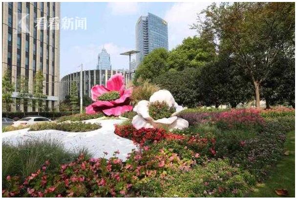 迎接进博会 虹口2.6公里东长治路花街正式亮相