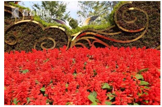 迎接进博会 虹口2.6公里东长治路花街正式亮相