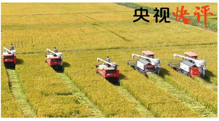 【央视快评】坚定不移推动高质量发展