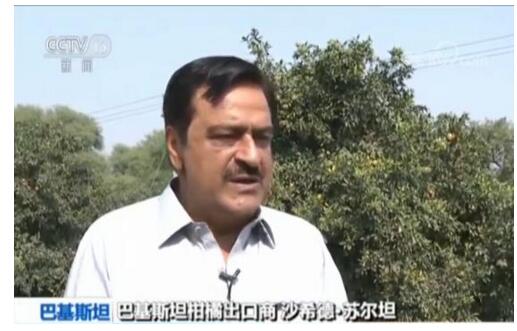 【全球聚焦进博会】巴基斯坦农产品企业期待更多发展机遇