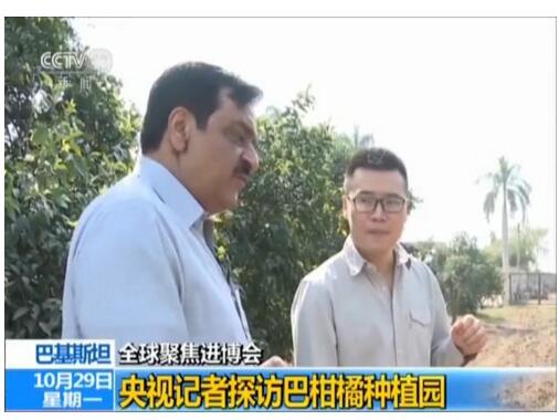 【全球聚焦进博会】巴基斯坦农产品企业期待更多发展机遇