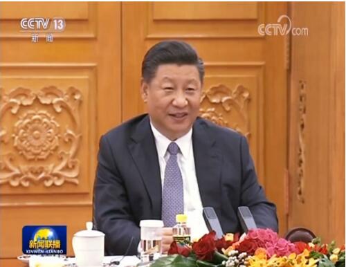 习近平同多米尼加总统举行会谈