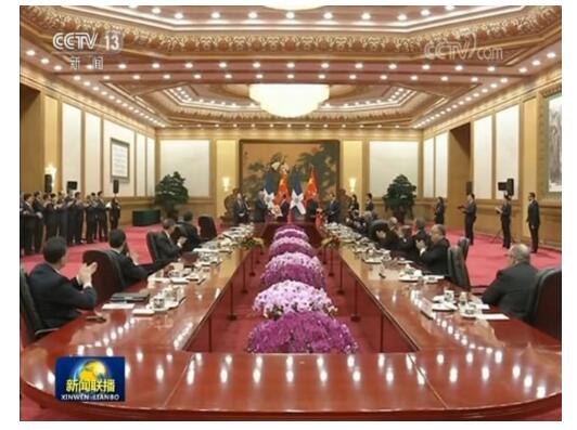 习近平同多米尼加总统举行会谈
