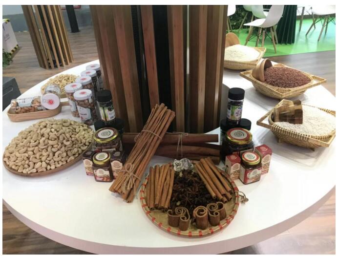 进博会抢先看：12个主宾国，12份巧心思