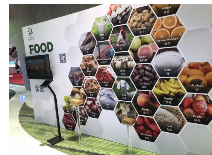 进博会抢先看：12个主宾国，12份巧心思