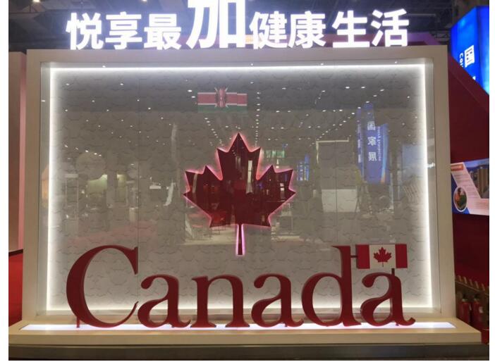 进博会抢先看：12个主宾国，12份巧心思