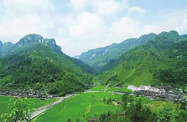 济南以茶为媒携手湘西书写脱贫故事