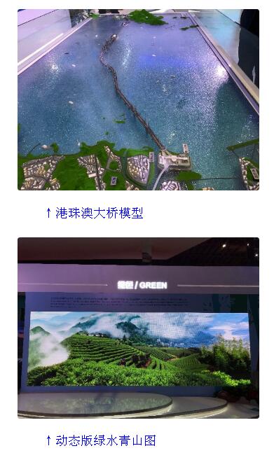 习近平看了进博会这些国家馆!来,新华社带你打卡!