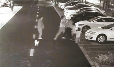 遛狗不牵绳还打人! 杭州狗主人被刑拘 女路人为护子踢狗被打