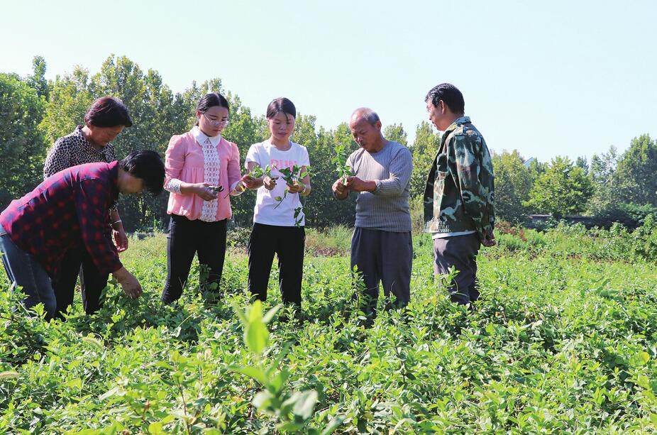 ɽ����ҽҩ��ѧ��ҵ��Ŀժȫ����