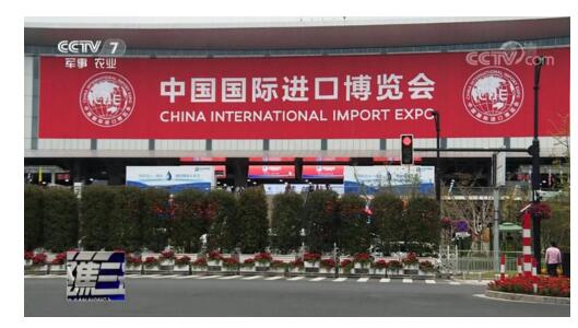 引进来 走出去 进博会上看中国农业发展新“格局”