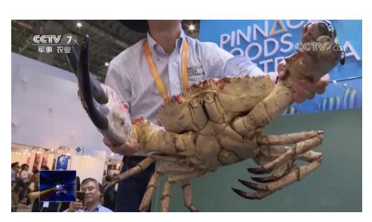 引进来 走出去 进博会上看中国农业发展新“格局”