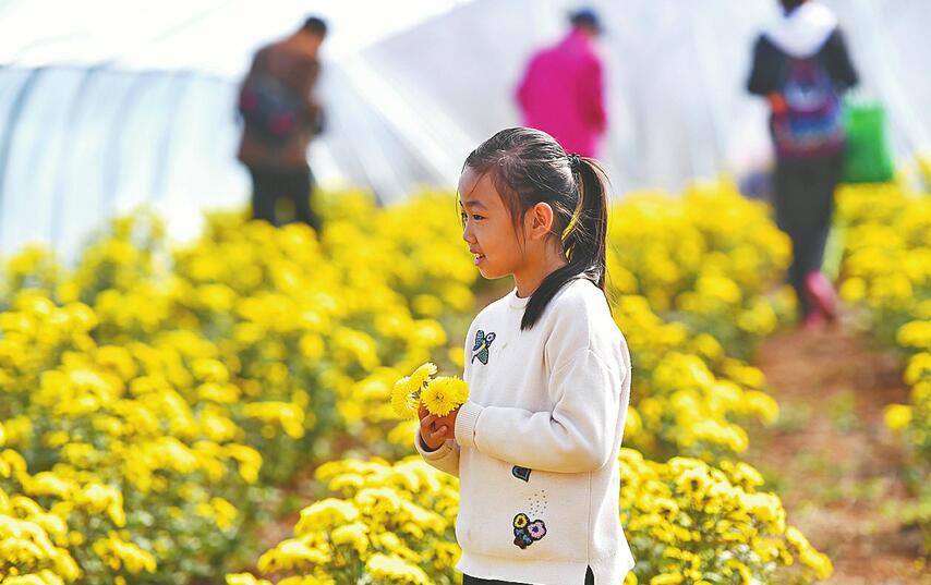 产业托起乡村振兴梦