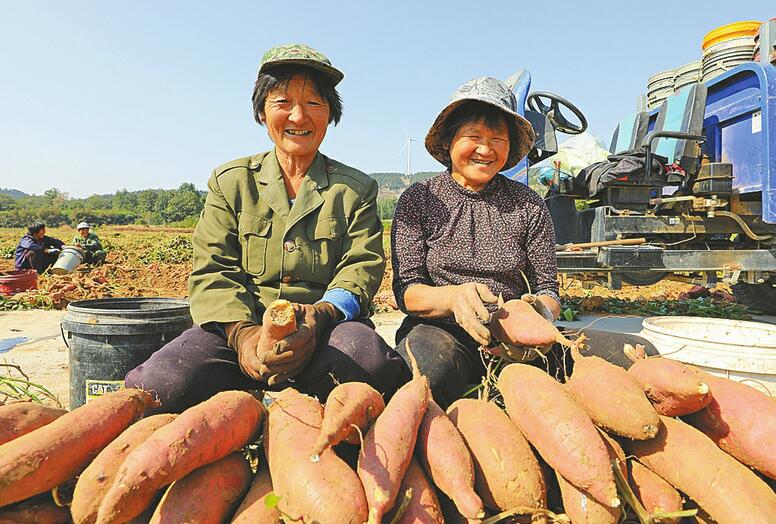 产业托起乡村振兴梦