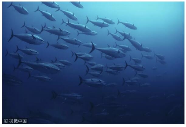 这里是巴布亚新几内亚！