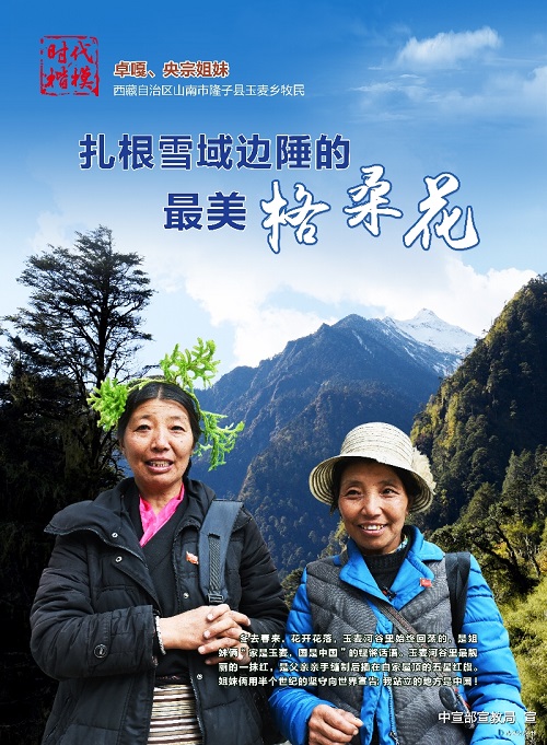 时代楷模公益广告：卓嘎、央宗姐妹