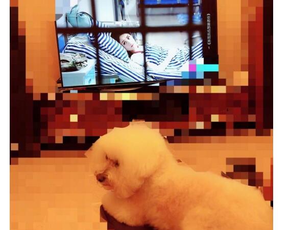 为了保护隐私？赵丽颖婚后首晒照 电视中播放赵丽颖主演的新剧