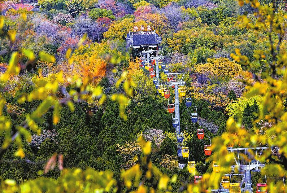 千佛山初冬呈五彩 缤纷落叶如诗如画
