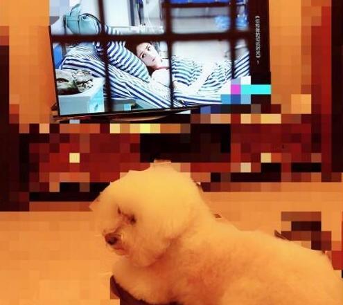 马赛克小公主!赵丽颖婚后首晒照竟是这画风 满屏都是马赛克什么也看不到