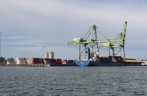 习近平主席访问文莱背后的友好故事