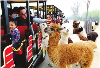 济南市旅发委发布“庆中秋 迎国庆”秋季旅游指南