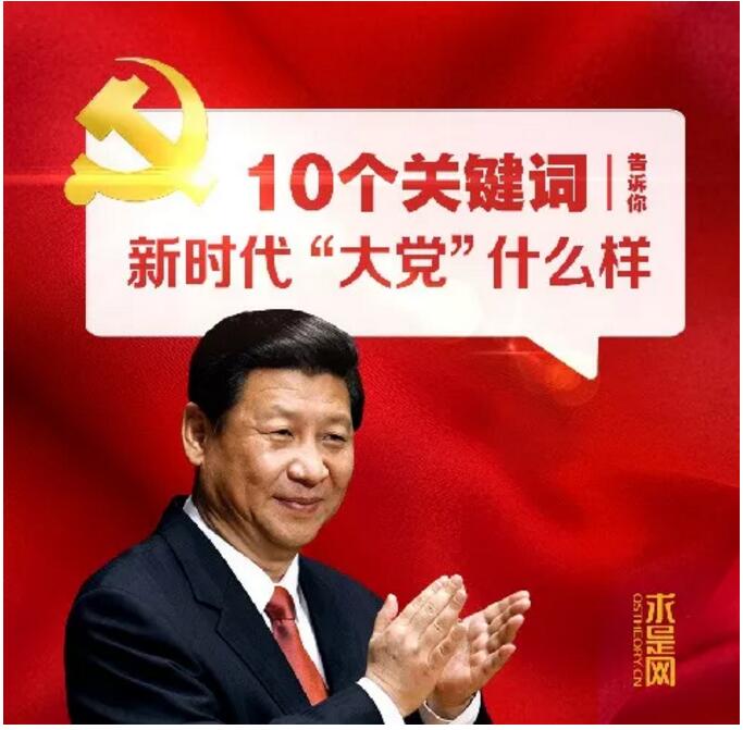 10个关键词告诉你，新时代“大党”什么样