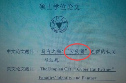 真的会上瘾吗?毕业论文写吸猫 浙大硕士: