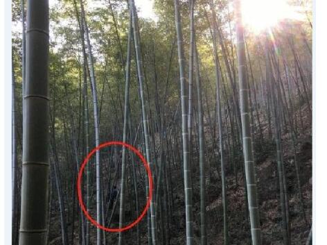 惊异一幕！越野跑选手遭猥亵 被村民从后面抱住不停触碰其隐私部位