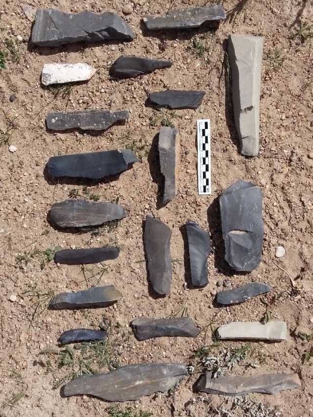 科学家发现4万年前人类已登上青藏高原