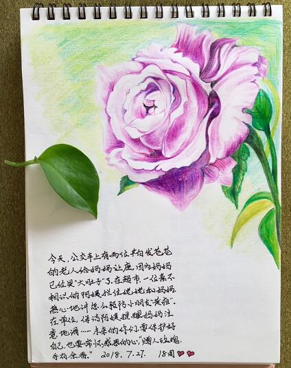 女记者孕期手绘29幅漫画送给双胞胎女儿当“见面礼”