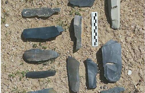 人类最早何时踏足青藏高原?科学家在4600米处发现旧石器时代遗址