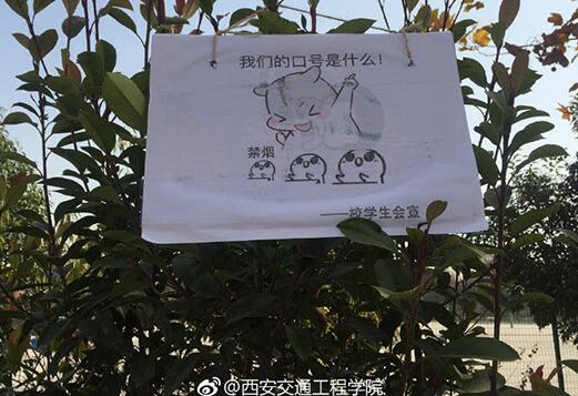 禁言语录太毒了!高校禁烟表情包 “吸烟找不到对象”让单身狗颤抖了!