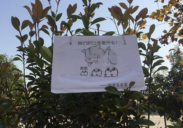 吸烟找不到对象?高校禁烟表情包扎心了 这一波禁烟宣传很强势