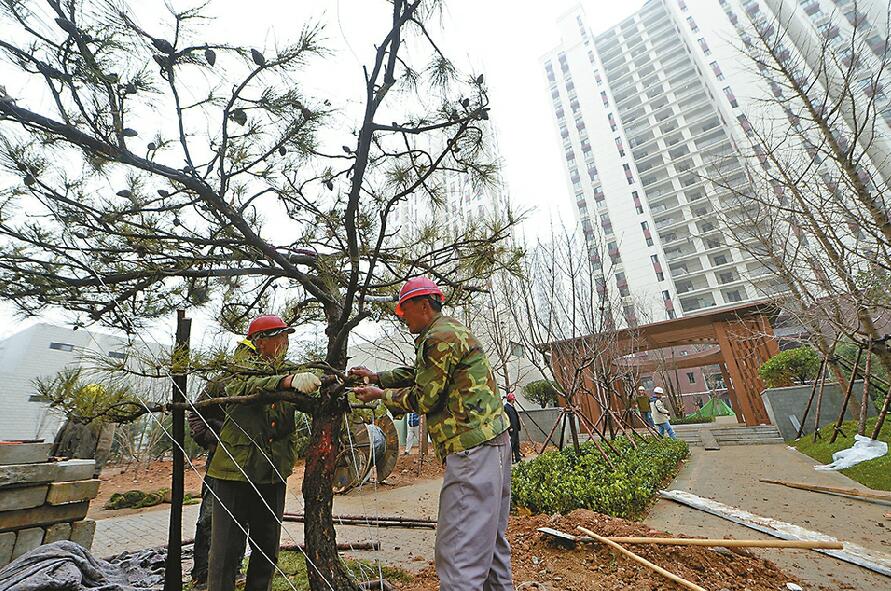 经十一路安置房5栋楼率先竣工初验 创新施工速度提高一倍