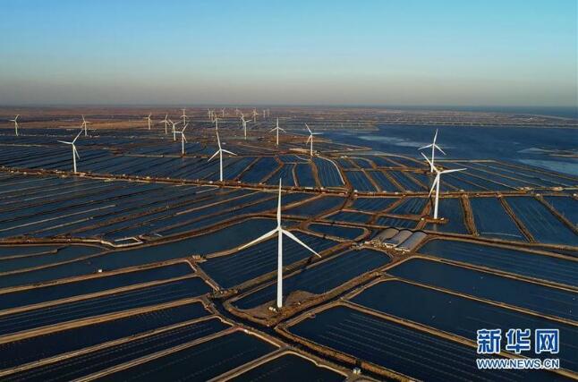 绿色的奇迹——改革开放40年变迁系列述评生态篇